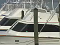 Royalty Free Stock Video HD Footage Zoom Out to Boats Docked at a Marina in Jupiter,  Florida