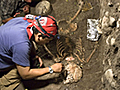Hallan la tumba más antigua de Mesoamérica