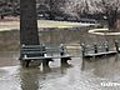 Flooding in the Bronx