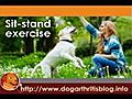 Dog Physical Therapy - Muscle Strengthening