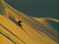 Snowboard - Freeride & Freestyle