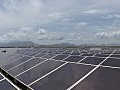 港燈太陽能發電系統啟用