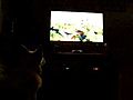 Charlie Likes To Watch TV  ! !