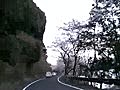 桜満開の海津大崎 6