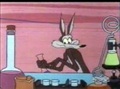 Road Runner & Wile E Coyote  - Clippety Clobbered 39/43