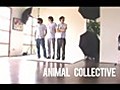 Animal Collective’s &#039;Save the Seals&#039; Photo Shoot