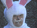 Dibley’s Easter Bunny