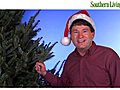 Grumpy Gardener: Use Christmas Trees as Pest Control