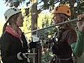 How to Zipline Across Whistler Forest