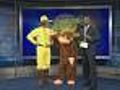 Curious George Live!