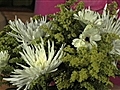 Howdini - How to Make Inexpensive Flower Arrangements