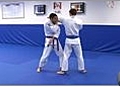 Beginning Brazilian Jiu Jitsu - Punches