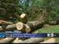Powerful Winds Strike Long Island