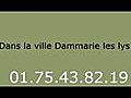 Depannage chaudiere Dammarie les lys - 01.75.43.82.19