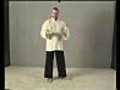 Part 14: Learn Tai Chi Free: Yang Cheng-fu Long FOrm: erle