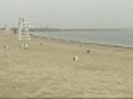 Shark sightings close beaches on Massachusetts South Coast