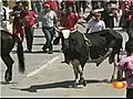 Tlacotalpan está de fiesta