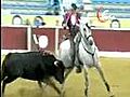 Bullfight-corrida