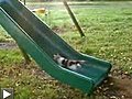 Chats sur un toboggan