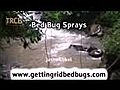 Bed Bug Sprays - How To Get Rid Of Bed Bugs