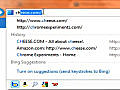 Search with Internet Explorer 9