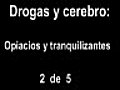 Drogas y cerebro: 2 de 5 documentales