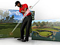 Tiger Woods PGA Tour Online