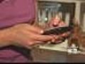 The Latest In Pet Technology: Cell Phone Apps