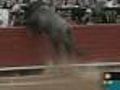 Caught On Tape: Bull Jumps Into Crowded Stands