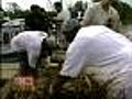 Inmates Help Restore Native Oysters To Bay