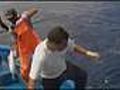 Unos pescadores encuentran un tiburón ballena bajo su barco