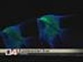 Scientists Develop Glow-In-The-Dark Fish