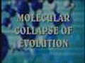 Molecular Collapse of Evolution 1
