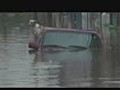 Pets Rescued From Floods In Brazil.