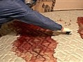 National Geographic News - Real Life CSI:  Crime Scene Cleaners