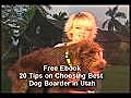 Dog Boarder Utah,  Dog Kennel Utah,Boarding Utah, Pet Sitter