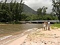 Lightning,  Rain, Mudslides Burdened Windward Oahu