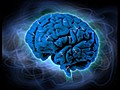 10 Amazing Facts About The Brain