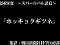 〈北極異変〉ホッキョクギツネ