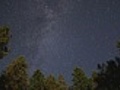 Star time lapse over pine trees