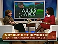 Can Tiger Woods Repair His Image?