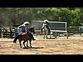 Lady-Good looking Bay Heeling Horse and Calf Horse Prospect