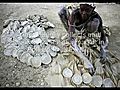 While the U.S. defends interest in the Middle East,  poor Haitians next door eat mud cookies.&#32;&#32;             // video added May 04, 2008            // 19 comments             //