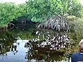 Florida Everglades native guided pole boat safari tour