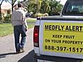 Medfly spraying in Pompano Beach