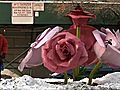 Who Put Giant Roses on New York’s Park Avenue?