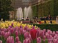 The locals garden, PARIS, france