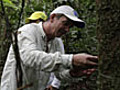 Unlocking cancer cures in the Amazon