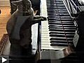CHAT pianiste
