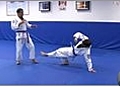 Beginning Brazilian Jiu Jitsu - Defensive and Offensive Strikes